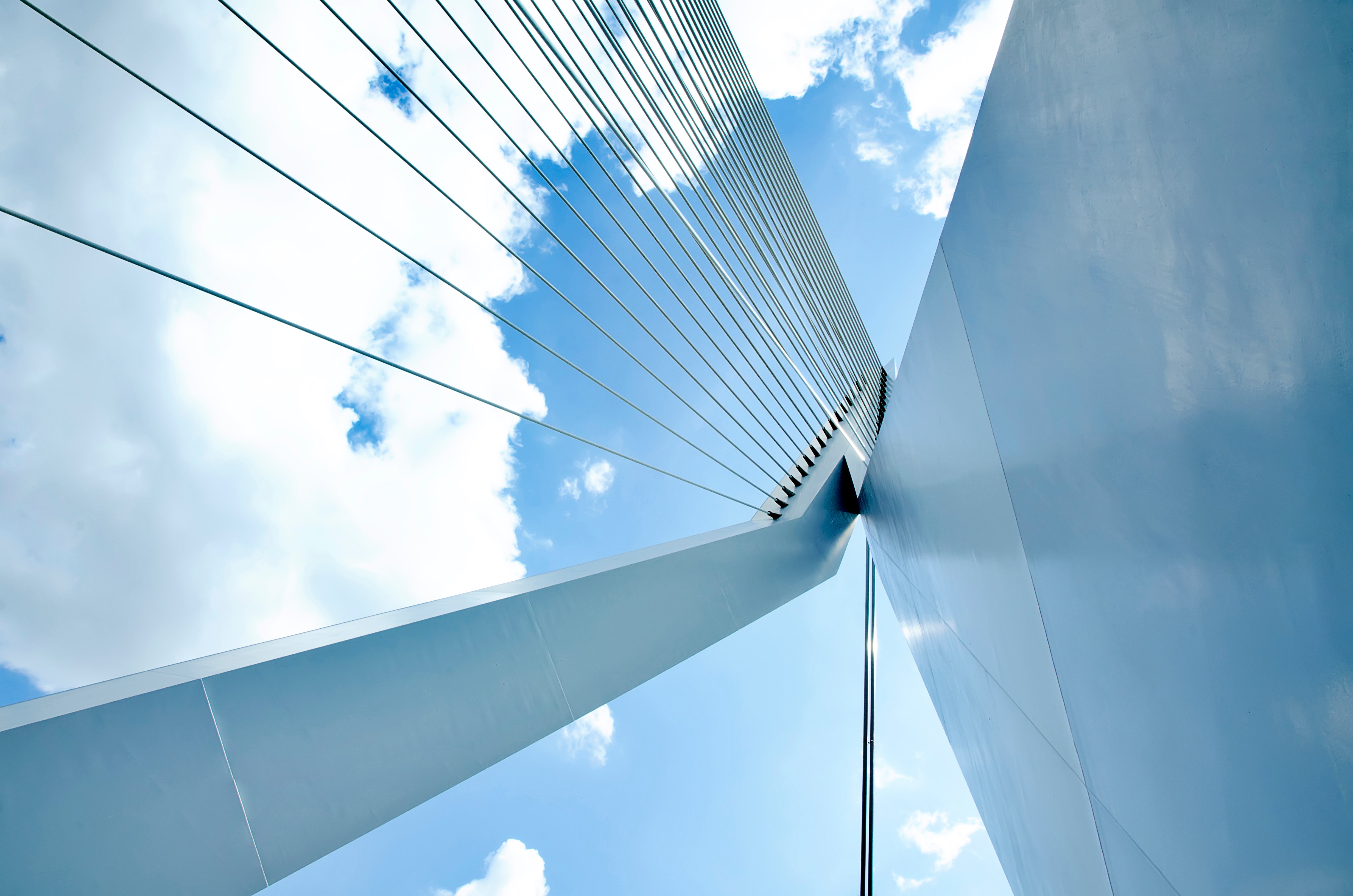 low angle cable bridge 843264 low angle cable bridge 843264