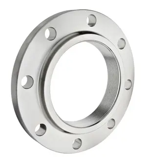 Titanium Flange