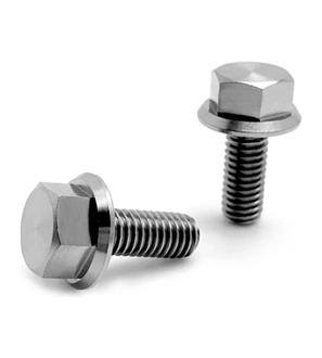 5/16'' Titanium Bolts